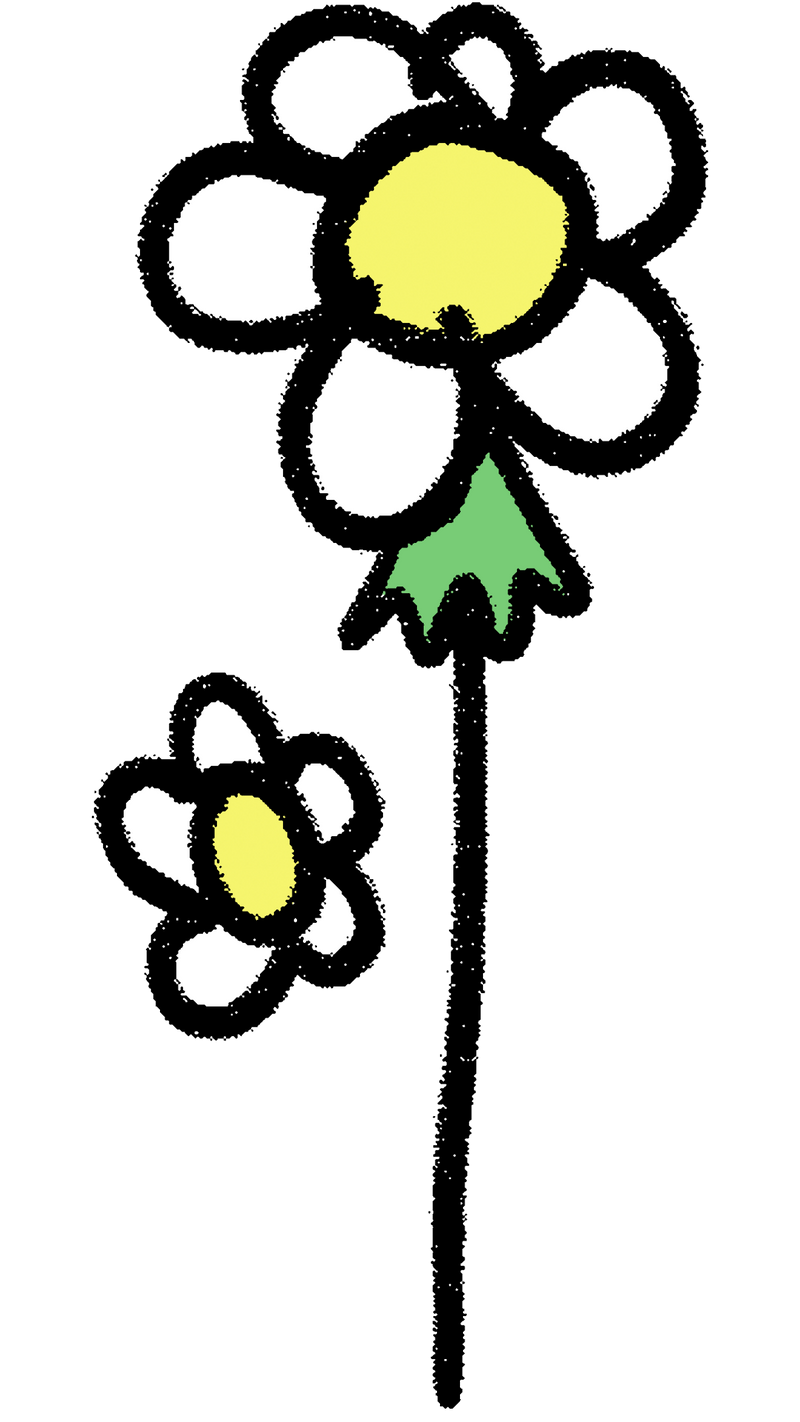 Two flowers illustration 